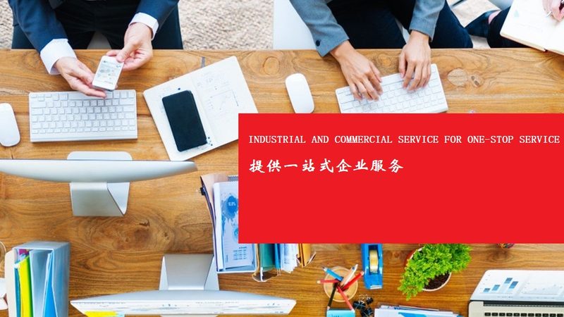 IPO辅导机构：揭秘其背后的专业与价值