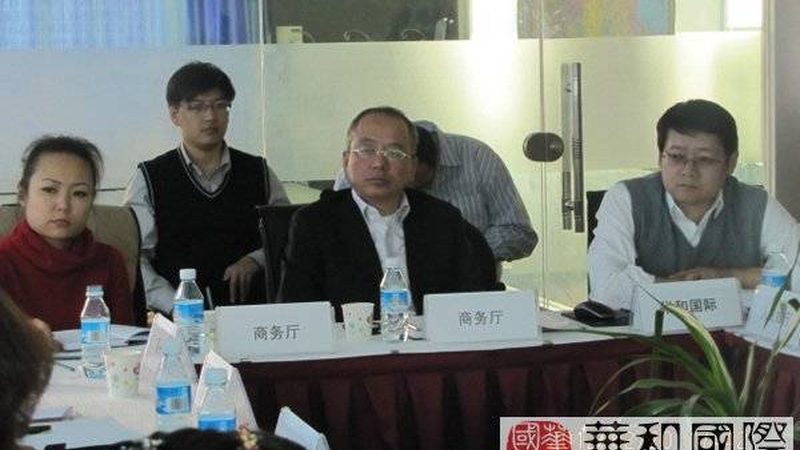 IPO财务顾问公司排名背后的考量因素